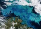 Environmental Change will shift the ocean's colors