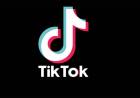 Madras High Court Directs Ban TikTok Downloads 